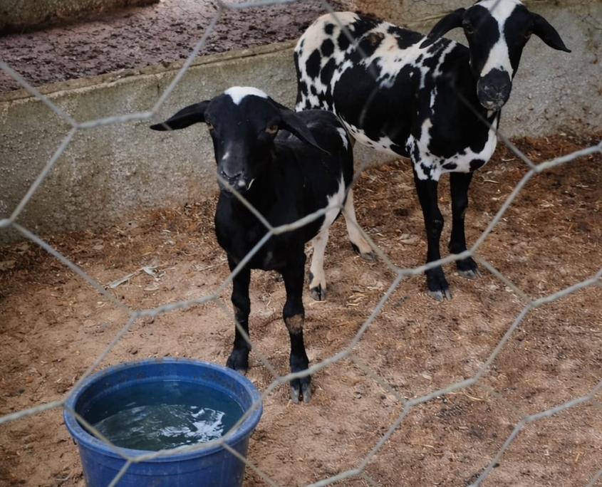 WhatsApp Image 2026-03-27 at 12.02.03